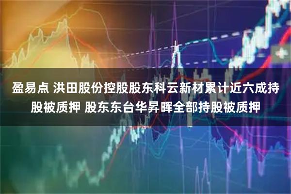 盈易点 洪田股份控股股东科云新材累计近六成持股被质押 股东东台华昇晖全部持股被质押