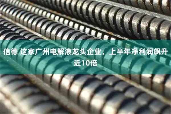 信德 这家广州电解液龙头企业，上半年净利润飙升近10倍
